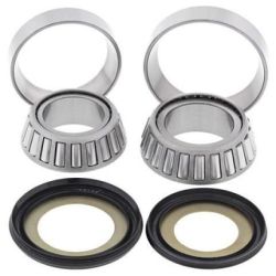 Steering Bearing Kit-22-1009