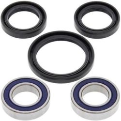 Wheel Bearing Kit-Front-25-1080