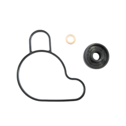 Water Pump Gasket Set-SX50 09-23/TC50/MC50