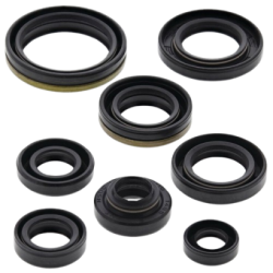 Engine Oil Seal Kit-RM80 91-01