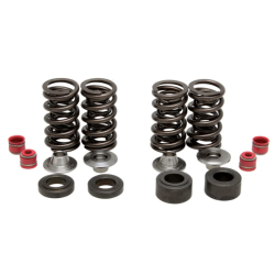 KW Complete Valve Spring Kit