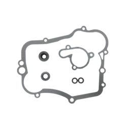 Water Pump Gasket Set-YZ85 02-19
