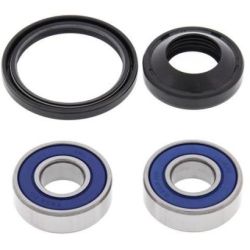 Wheel Bearing Kit-Front25-1069