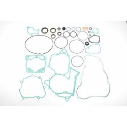Complete Gasket Set-Beta RR250/300