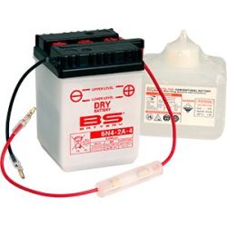 BS Conventional Dry 6V Battery