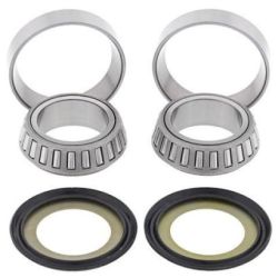 Steering Bearing Kit22-1010