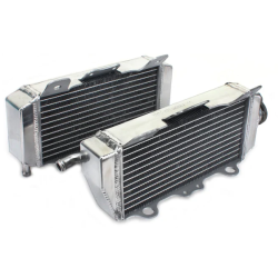 MSD Radiator(Both Sides) YZF450 2006