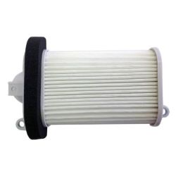 Champion Air Filter-XP-500 TMAX 08-11