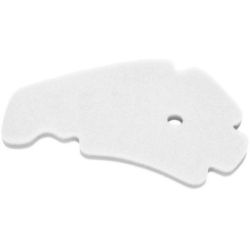 Champion Air Filter-Vespa