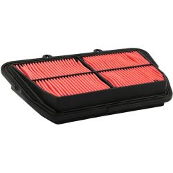 Champion Air Filter-Tiger 800