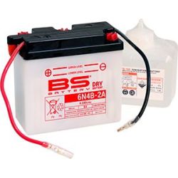 BS Conventional Dry 6V Battery