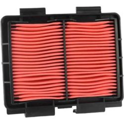 Champion Air Filter-CRF250L/M/Rally