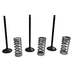 Wossner Intake Valve Kit-YZ250F 01-13/WR250F