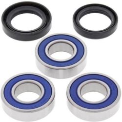 Wheel Bearing Kit-Rear25-1202