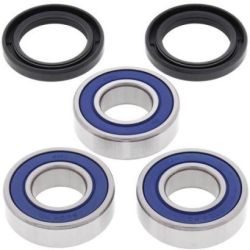 Wheel Bearing Kit-Rear25-1243
