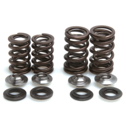 KW Complete Valve Spring Kit