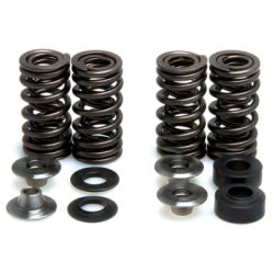 KW Complete Valve Spring Kit