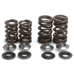 KW Complete Valve Spring Kit