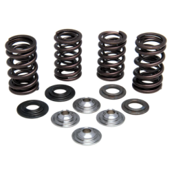 KW Complete Valve Spring Kit
