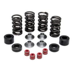 KW Complete Valve Spring Kit