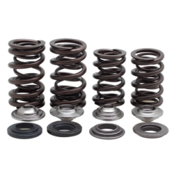 KW Complete Valve Spring Kit