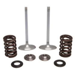 KW Stainless Inlet Valve Kit-Inc Valves