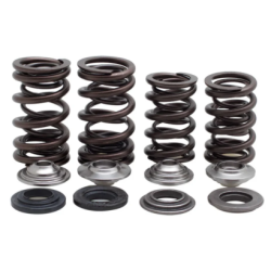 KW Complete Valve Spring Kit