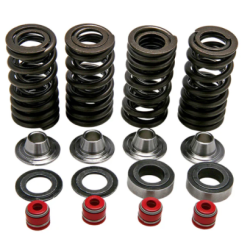 KW Eco Complete Valve Spring Kit