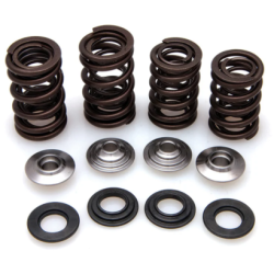 KW Eco Complete Valve Spring Kit