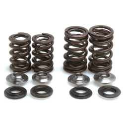 KW Eco Complete Valve Spring Kit