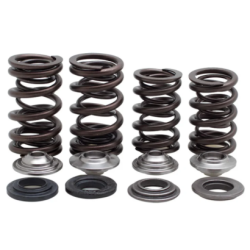 KW Complete Valve Spring Kit