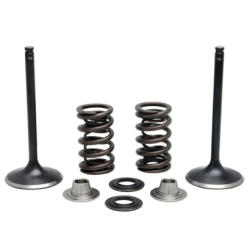 KW Stainless Inlet Valve Kit-Inc Valves