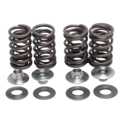 KW Complete Valve Spring Kit