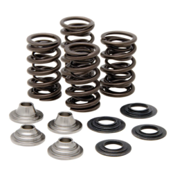 KW Complete Valve Spring Kit