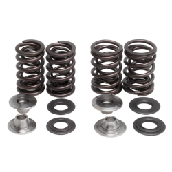 KW Complete Valve Spring Kit-KLX450R