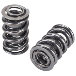 KW Inlet Valve Springs-KLX450R