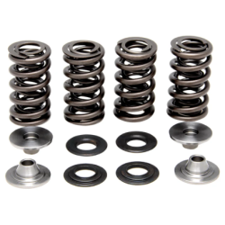 KW Complete Valve Spring Kit