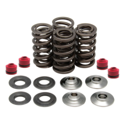 KW Complete Valve Spring Kit