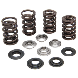 KW Complete Valve Spring Kit