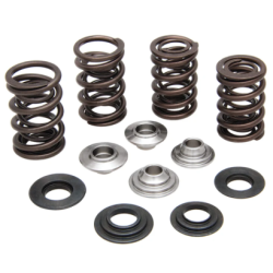 KW Complete Valve Spring Kit