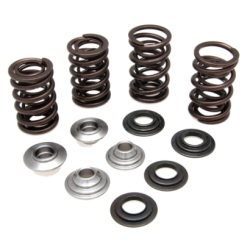KW Eco Complete Valve Spring Kit