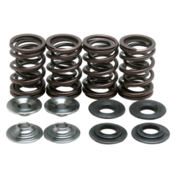 KW Eco Complete Valve Spring Kit