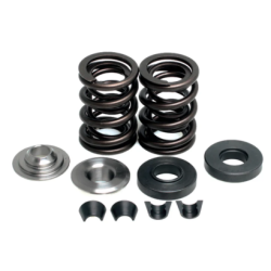 KW Complete Valve Spring Kit