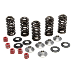 KW Complete Valve Spring Kit