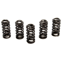 KW 5 x Valve Springs Only Set