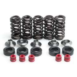 KW Complete Valve Spring Kit