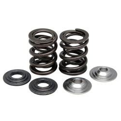 KW Complete Valve Spring Kit