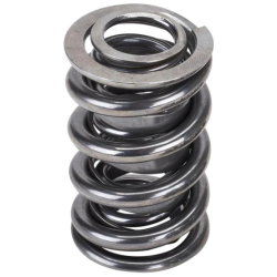 KW Inlet Valve Spring