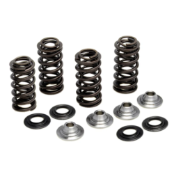 KW Complete Valve Spring Kit(for Titanium Valves)