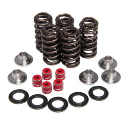 KW Eco Complete Valve Spring Kit